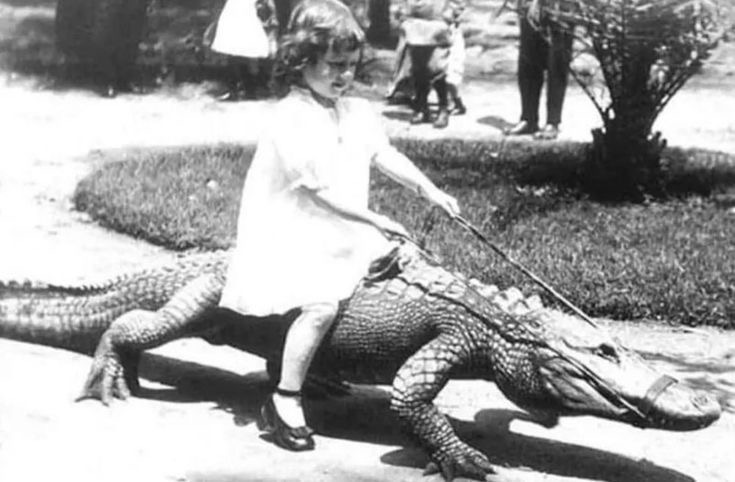 Gator Taxi: Only Accepts SwampCoin