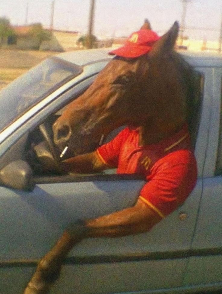 Can I Get Fries With That Gallop?