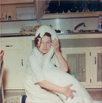 Swans Don’t Belong in Kitchens, But Here We Are