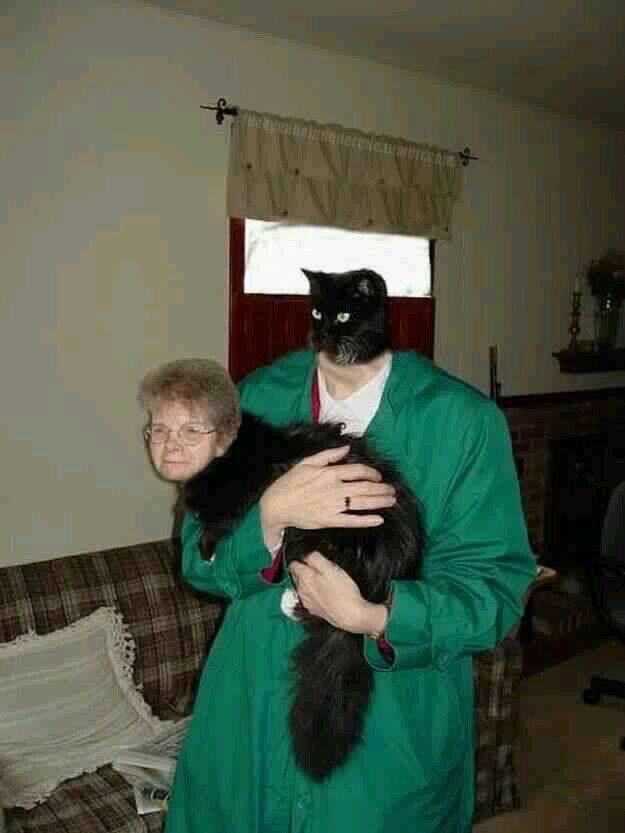 Grandma & Cat: The Face Swap Nobody Survived