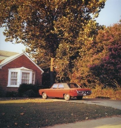 Suburban Still Life with Deciduous Drama