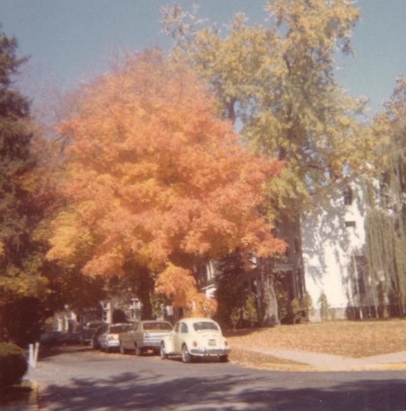 Where Every Street Sounded Like Crunch