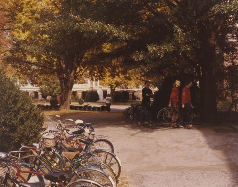 Ivy, Ideas, and Identity