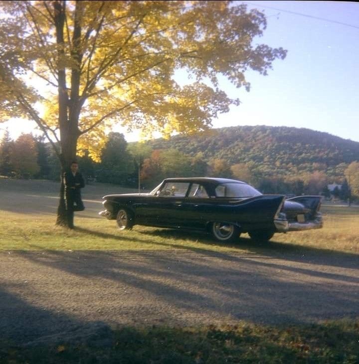 This Tree Knows Things