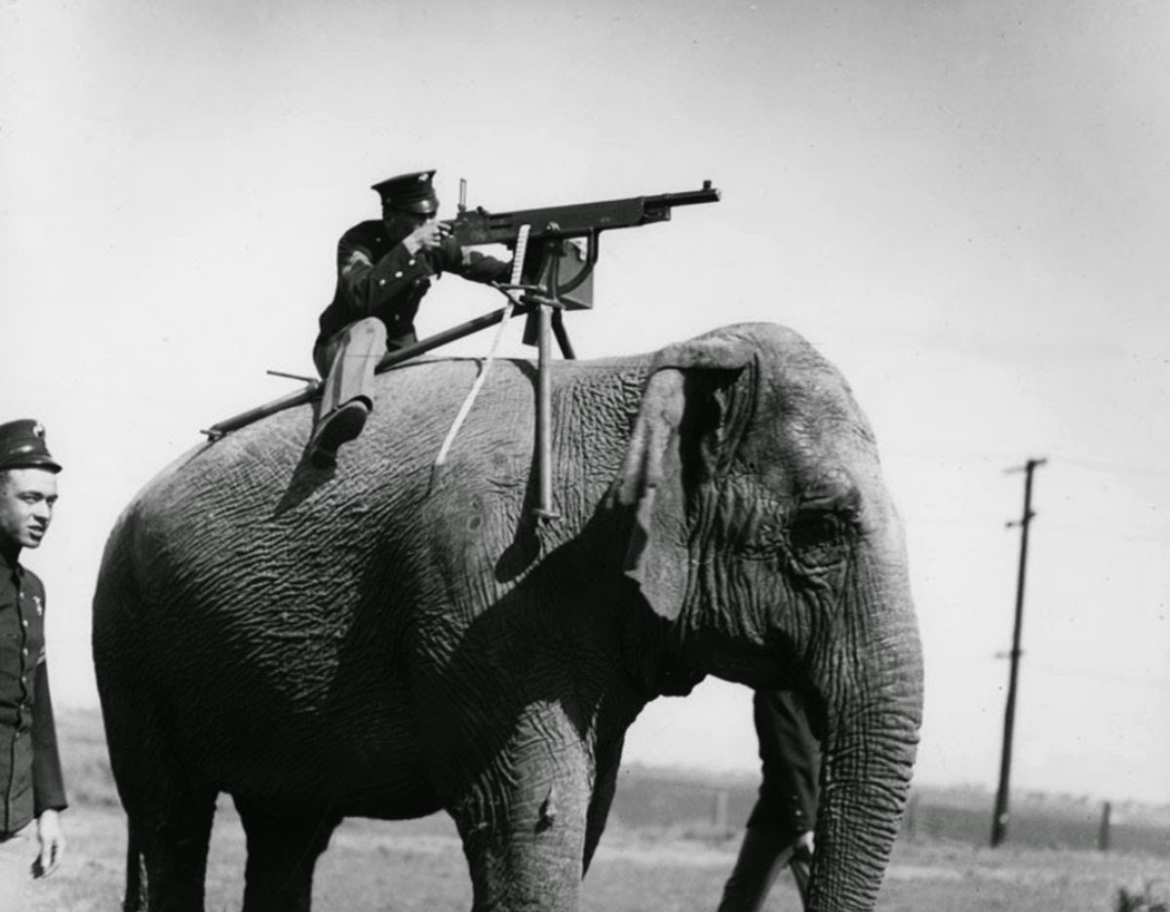 Jumbo-Sized Firepower