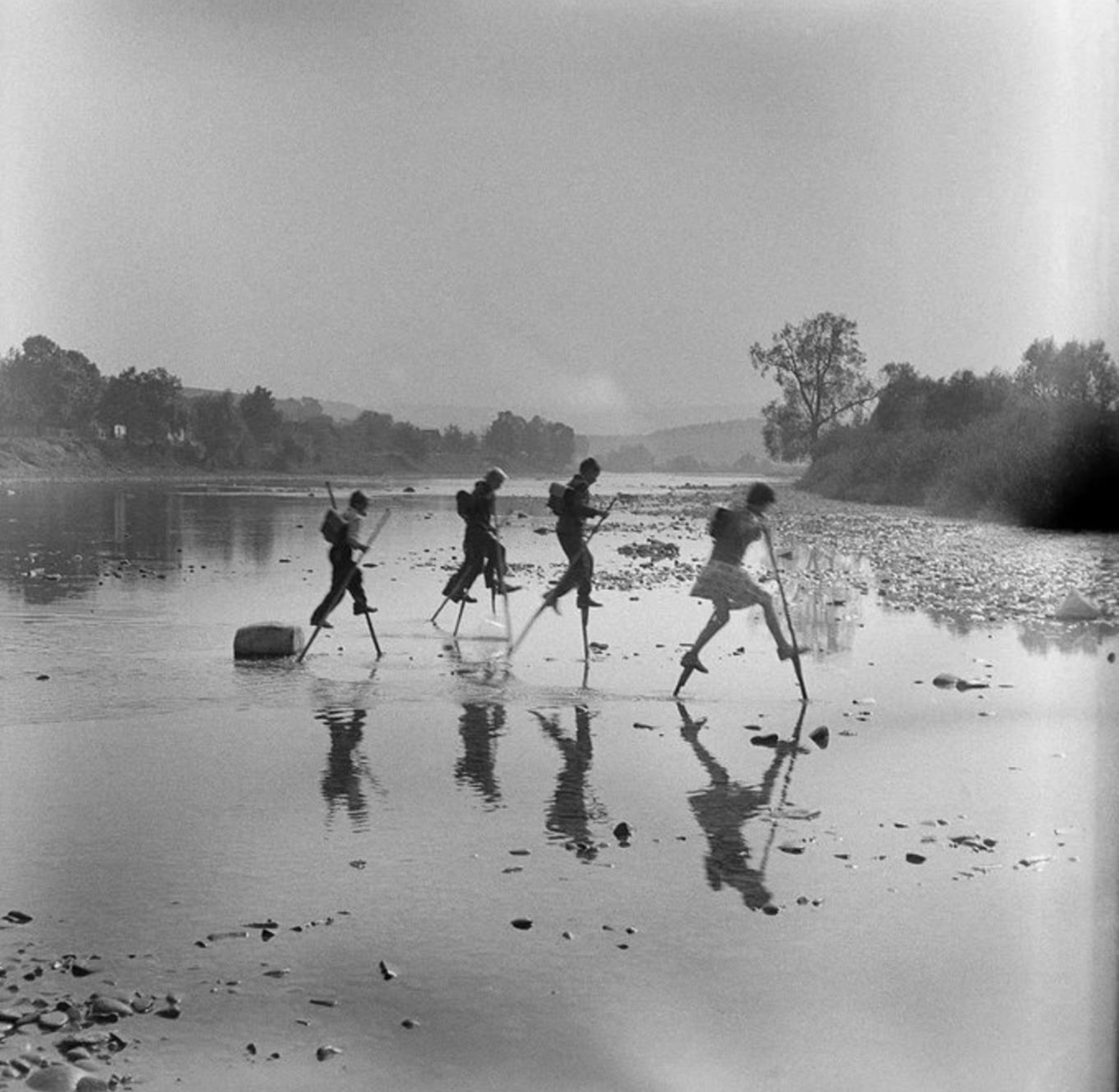 Stilts: The Original School Bus