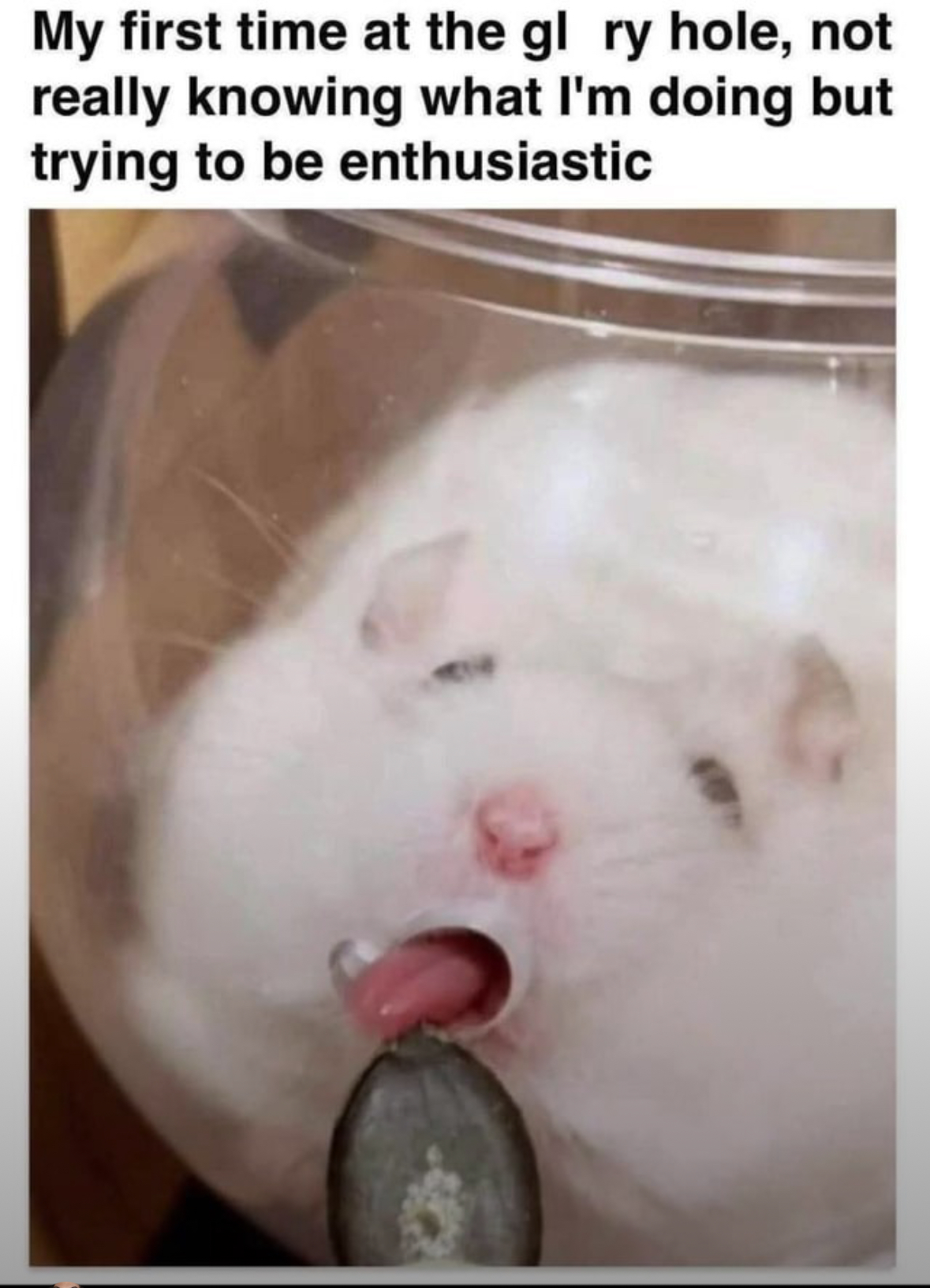 20 These Kinky Memes That Will Ruin Your Innocence in a Split Second