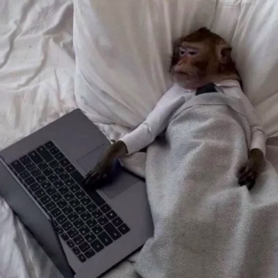 We Work From Bed… In Pajamas… With Cereal for Lunch