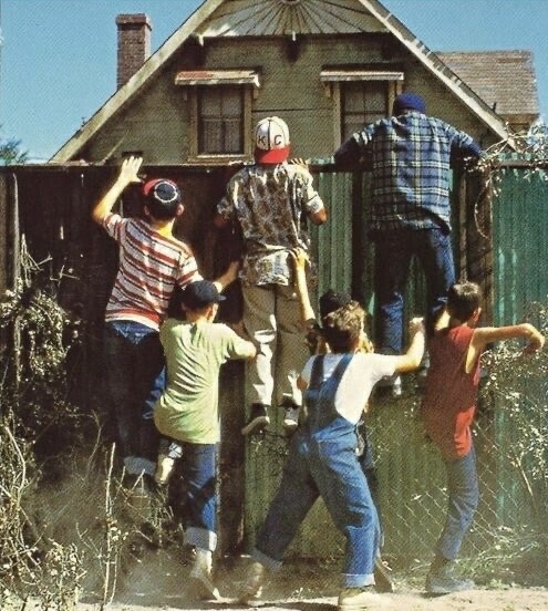 Peeking Over the Neighbor’s Fence Like Little FBI Agents