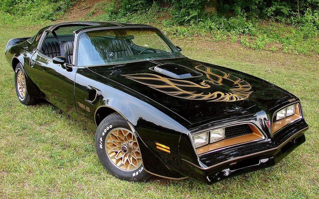 1978 Pontiac Trans Am with the flaming bird that defined cool.