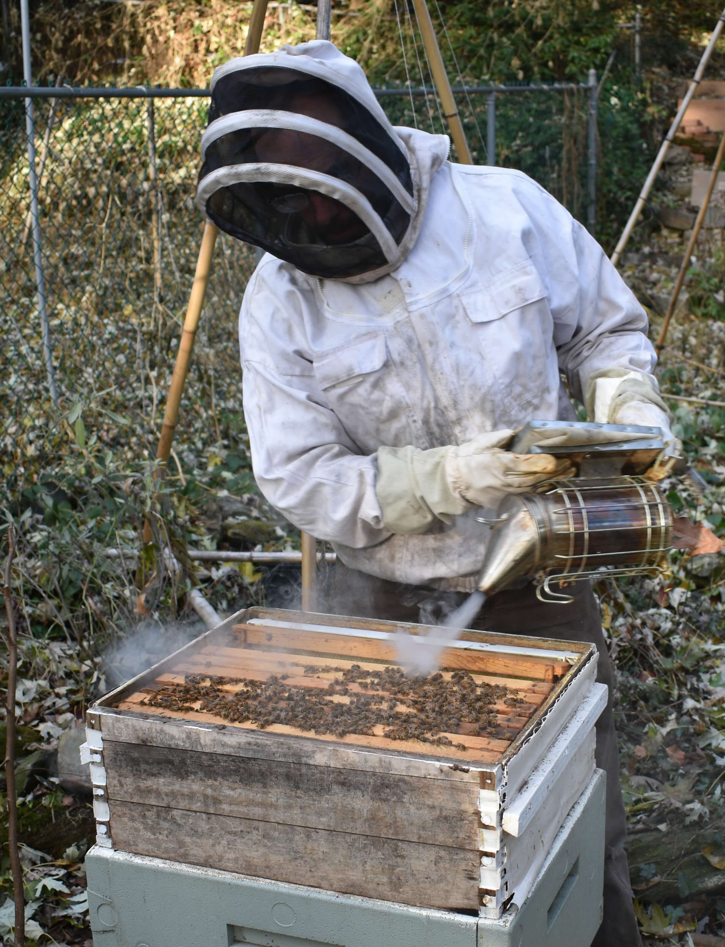 Beekeeping
