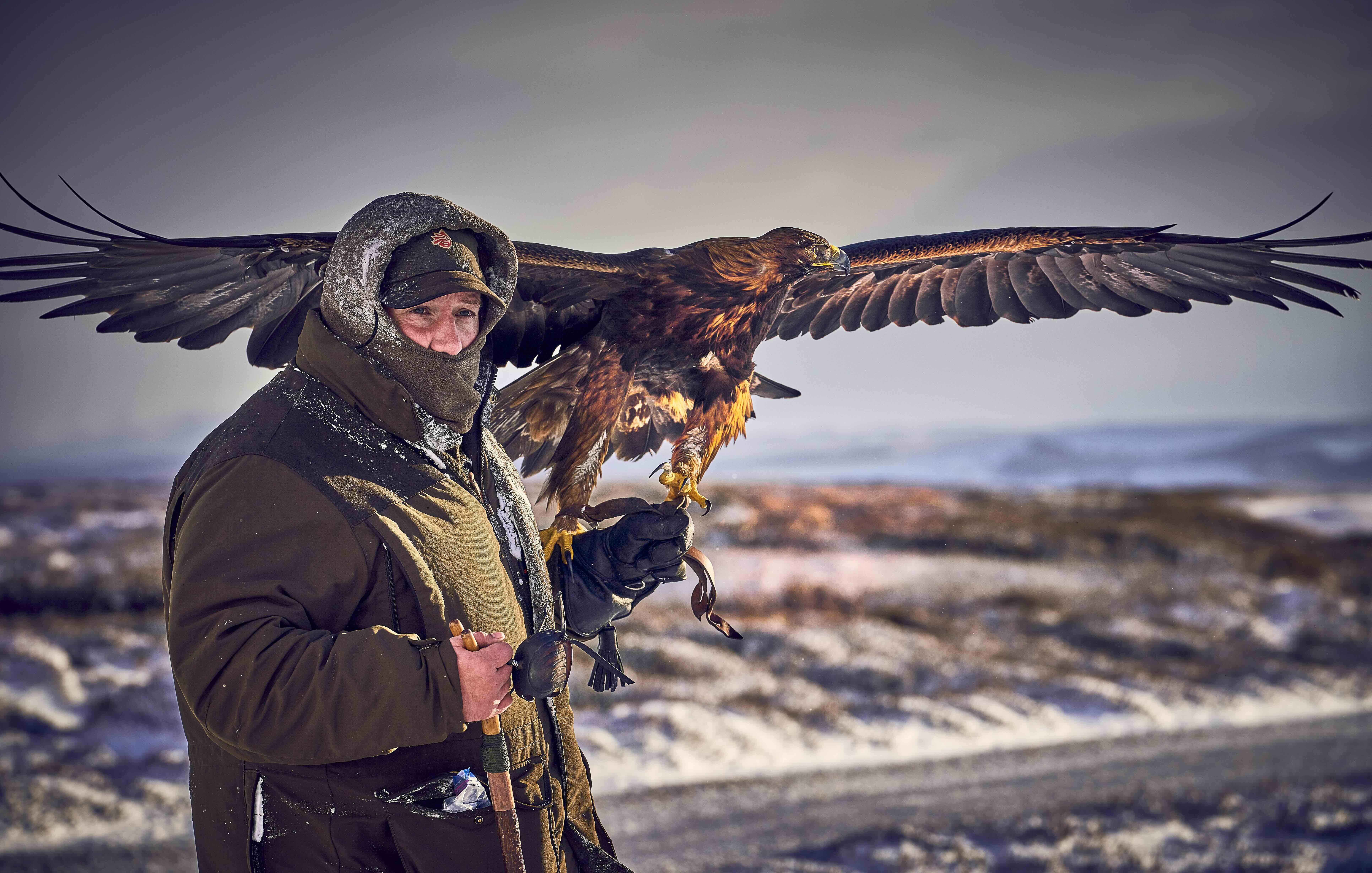 Falconry