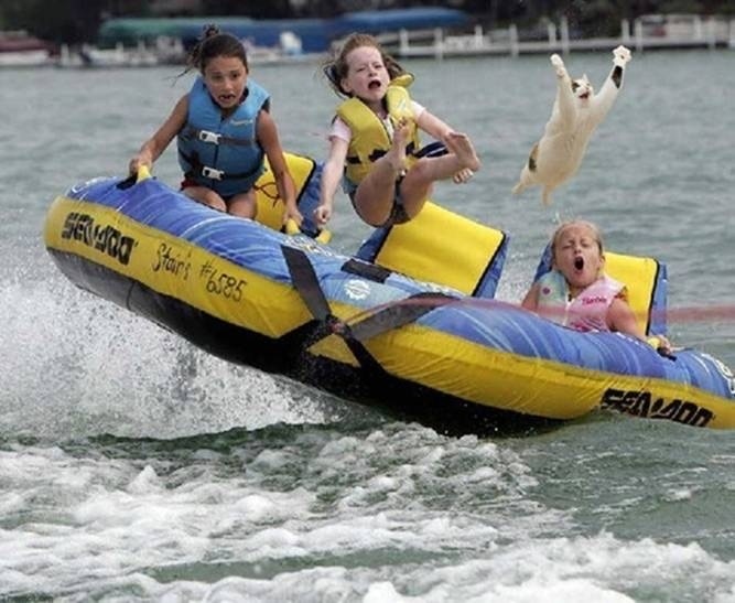 Cat, Kids, and a Makeshift Rocket Boat