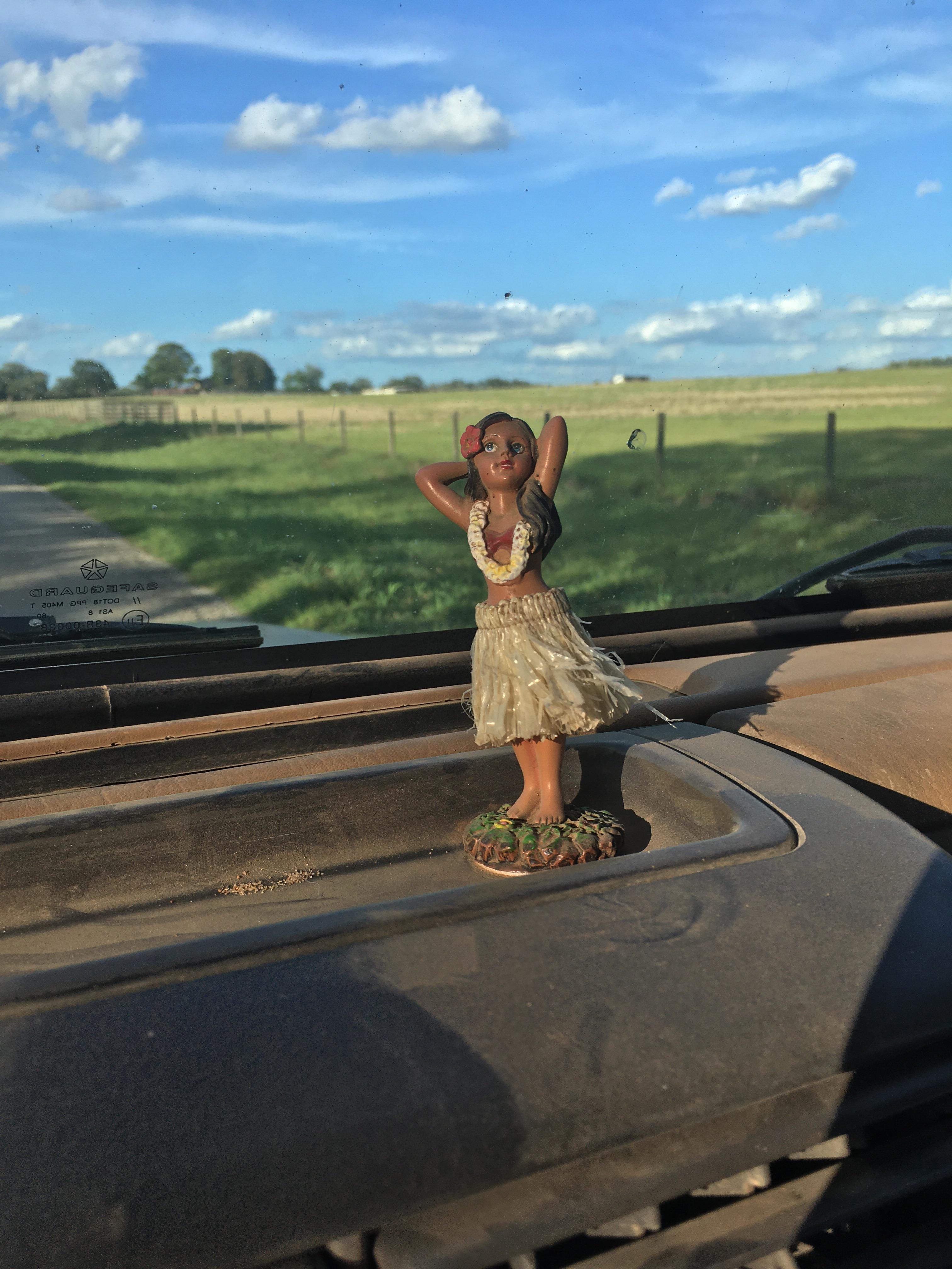 Dashboard hula dancers