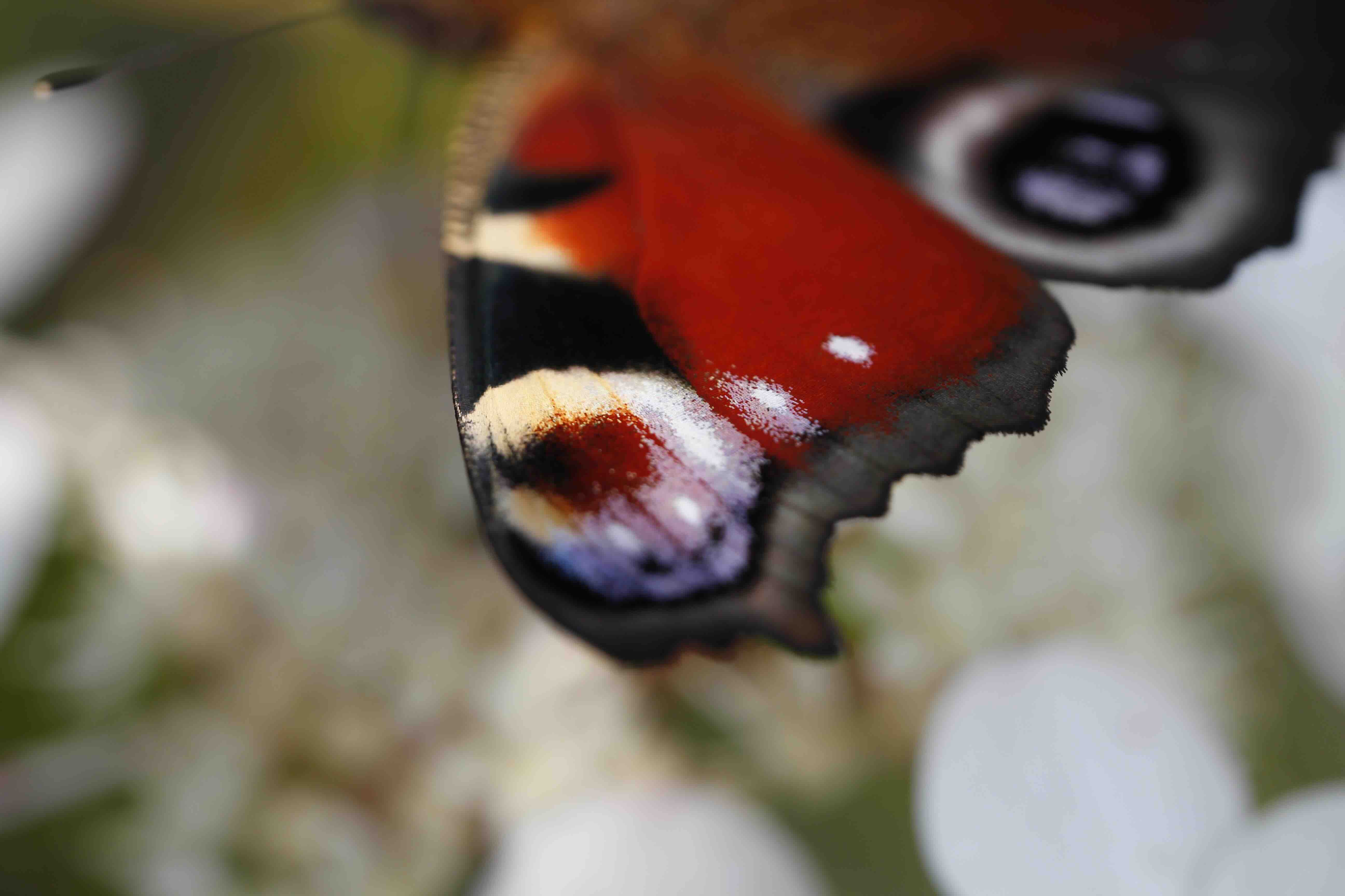 Nature keeps surprising us.