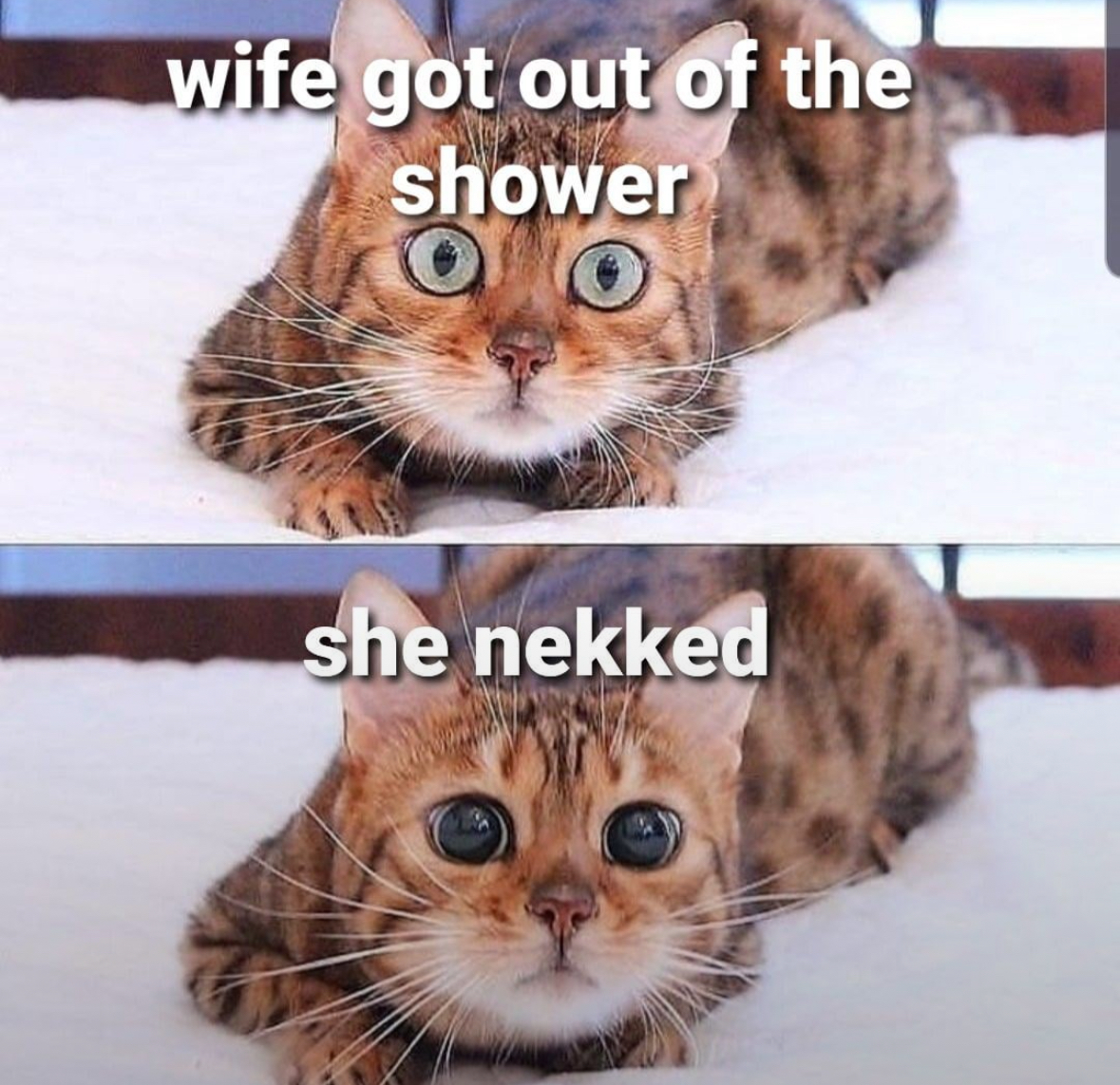 20 NSFW Memes You Can't Unsee