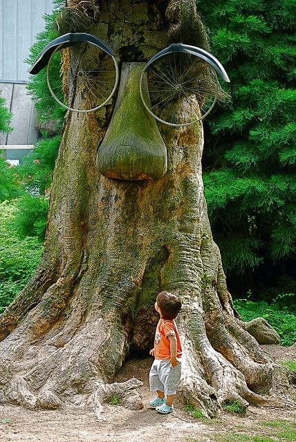 This Tree’s Got More Personality Than Most People