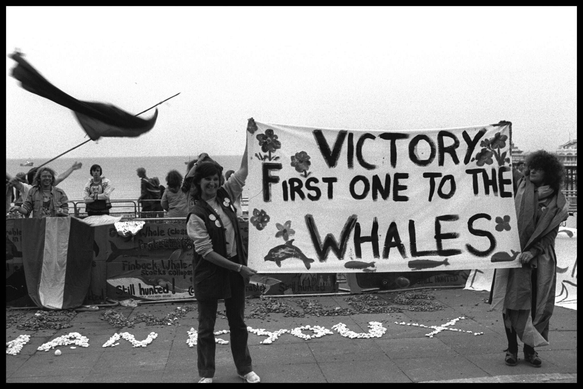 After years of confrontations at sea, Greenpeace celebrated early successes in pushing for whale protections.