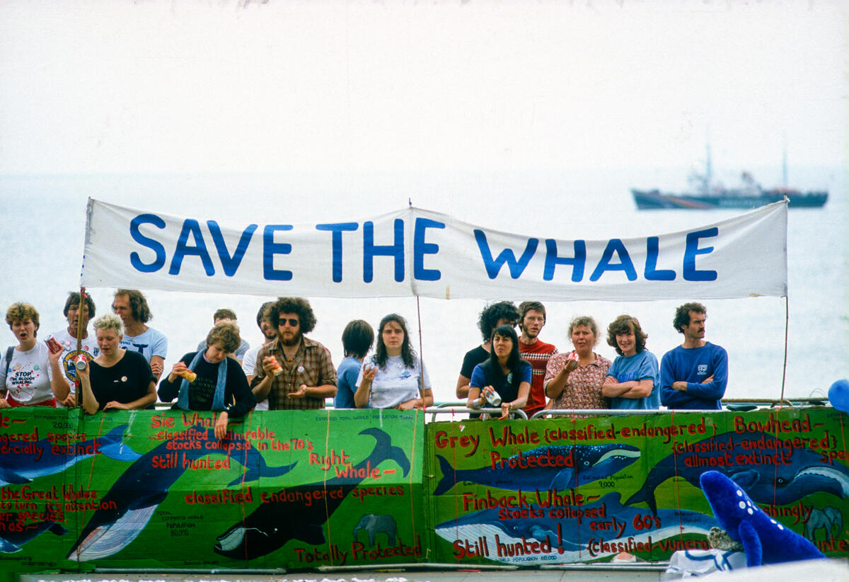 On land, supporters amplified Greenpeace’s sea actions. Public demonstrations like this kept pressure on governments.