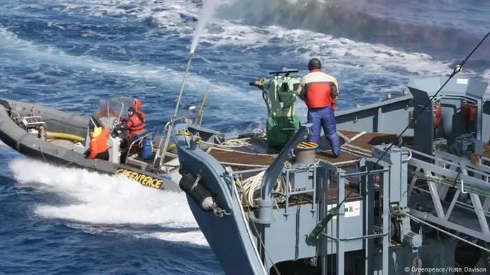 Whaling ships used high-pressure water jets to try to drive activists away. Still, Greenpeace pressed in close.
