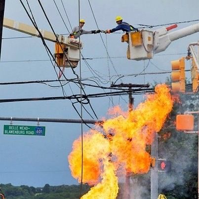 Crane Buddies Amidst the Flames
