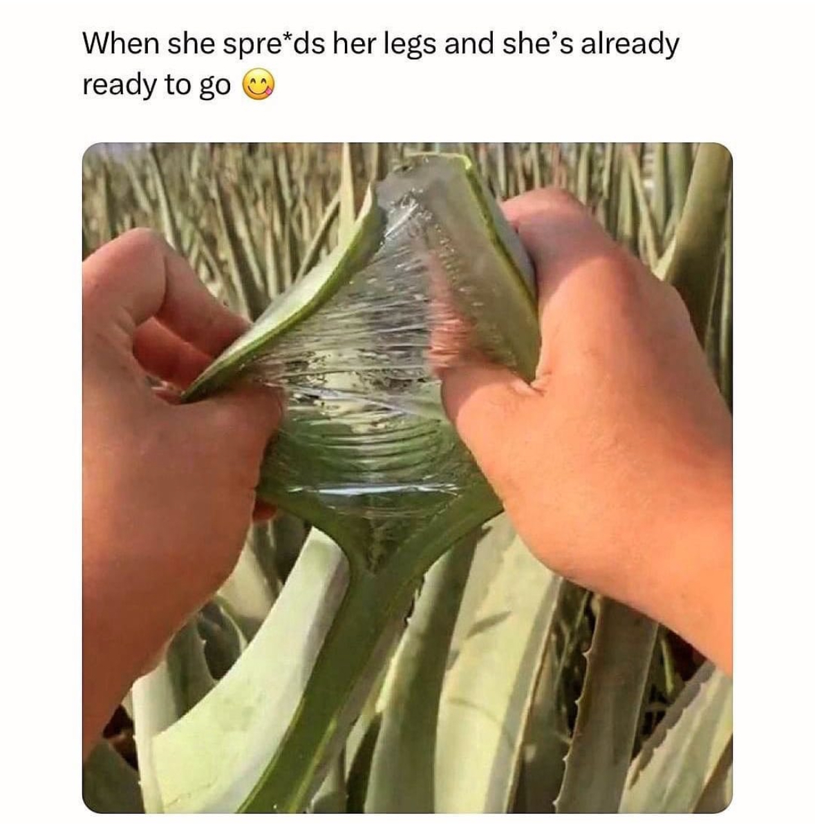 20 NSFW Memes That Shouldn't Exist