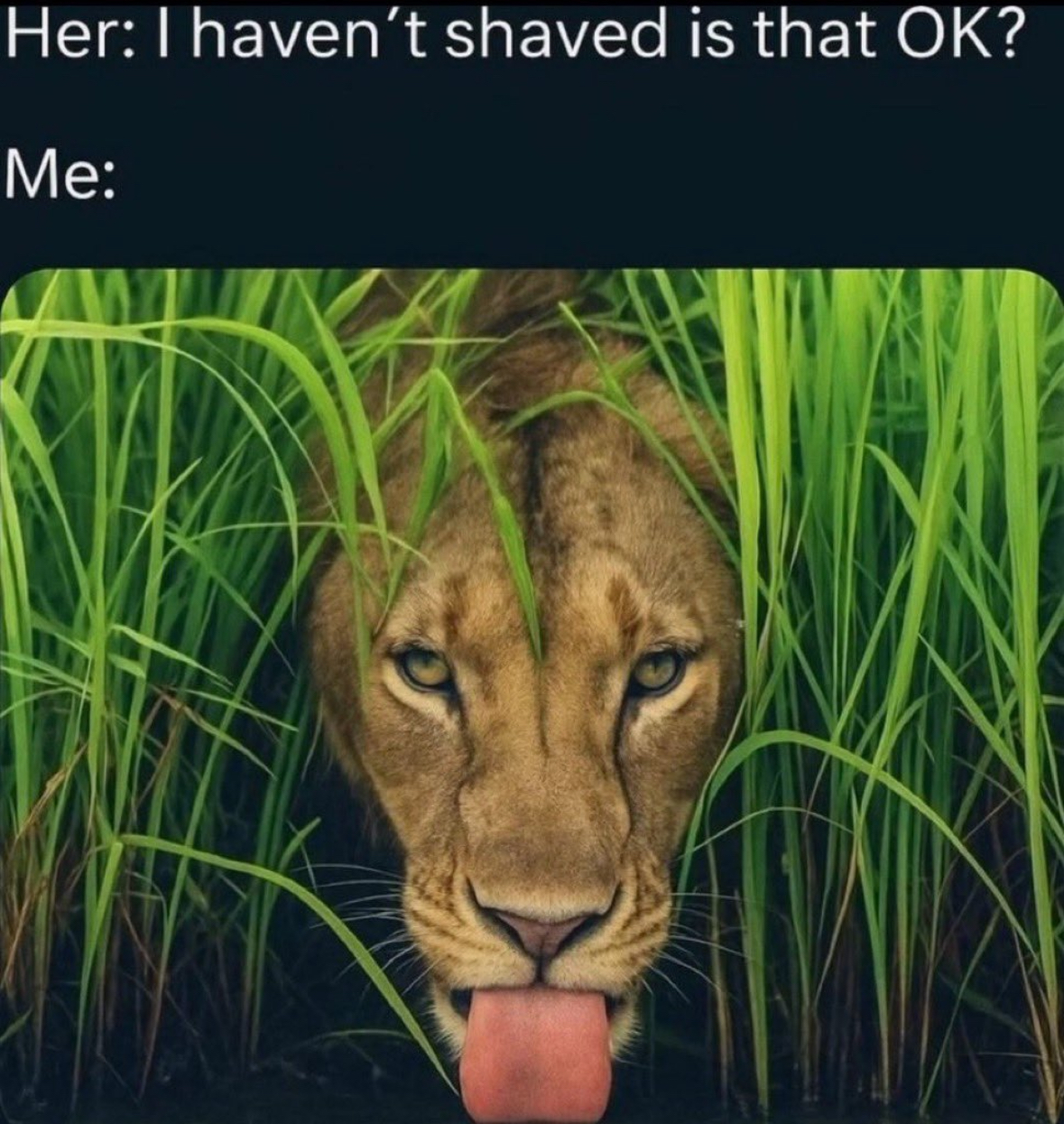 20 NSFW Memes That Shouldn't Exist