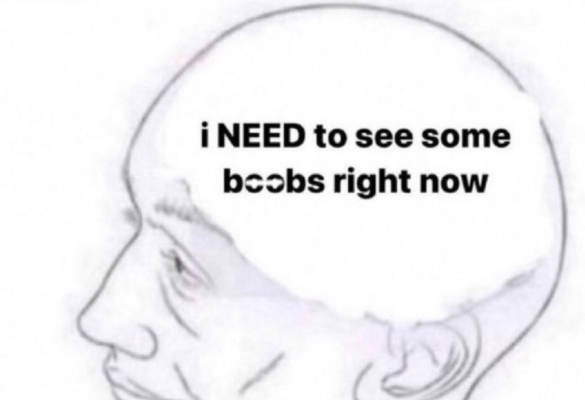 20 NSFW Boob Memes That'll Make You Lose Your Mind