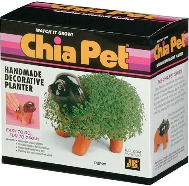 Chia Pets