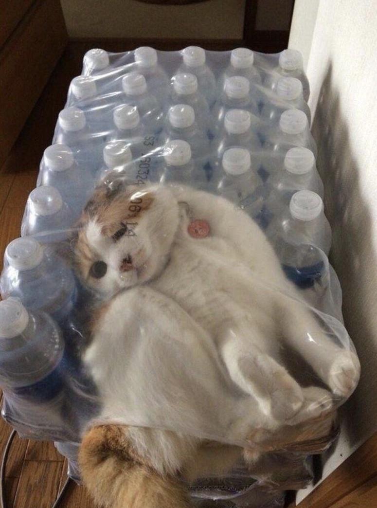 You'll have to find your own way out.