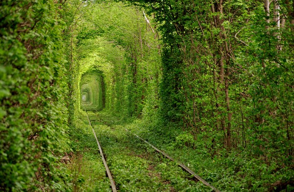 An abandoned railway that looks like a fairy tale.