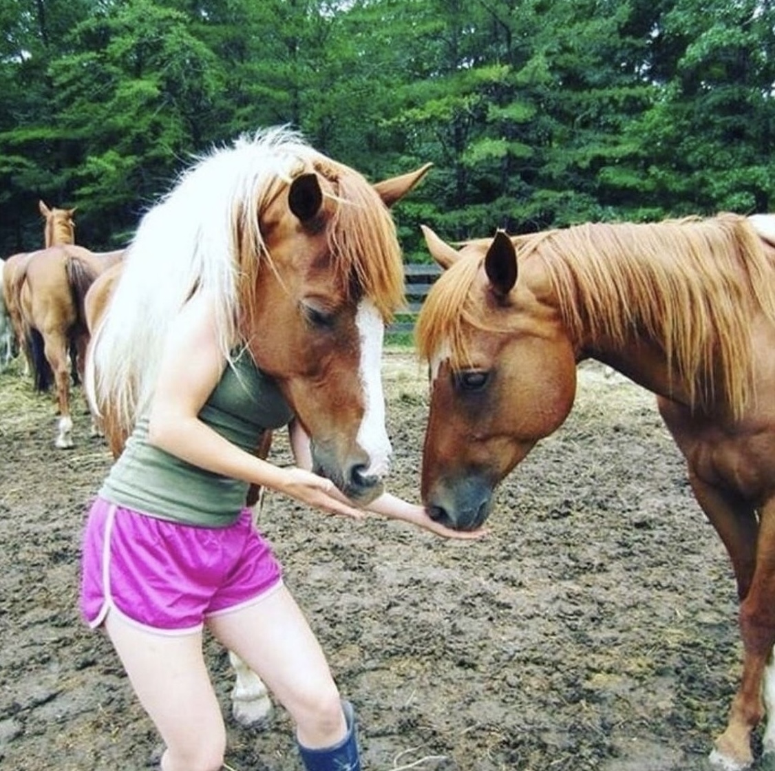 Horse Girl 2.0: The Fusion Is Complete