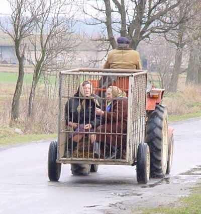 Get in, Grandma. We're Going to Bingo.