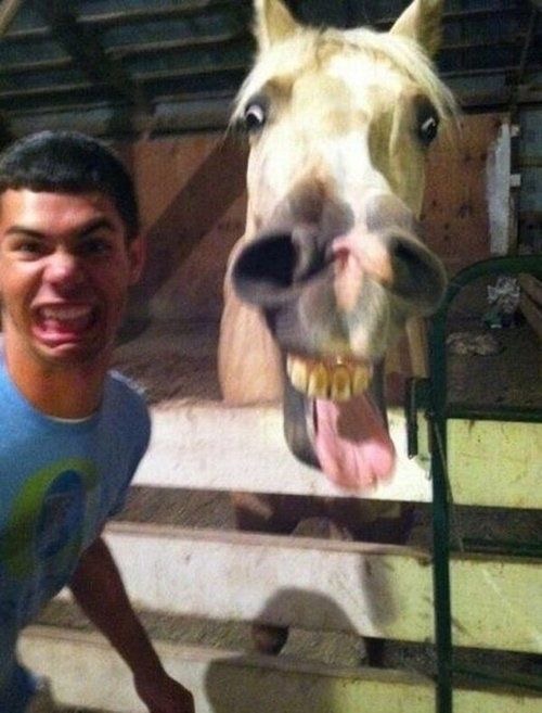 The Horse Boyz: Tongue Out Tuesdays
