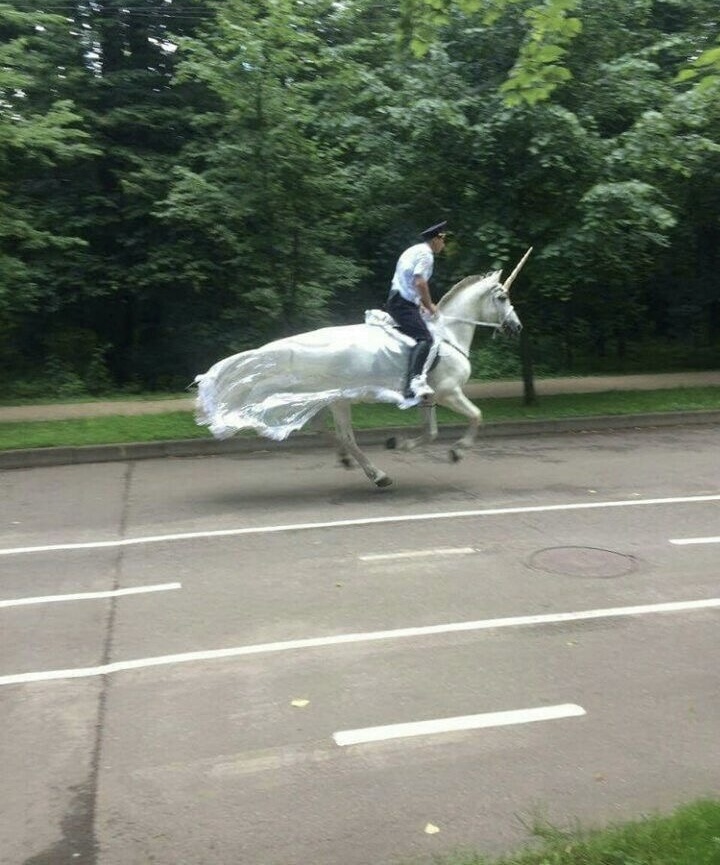 Law & Magical Order: Cop Rides Unicorn