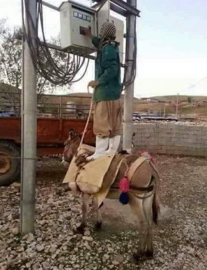 Donkey = Ladder (Apparently)