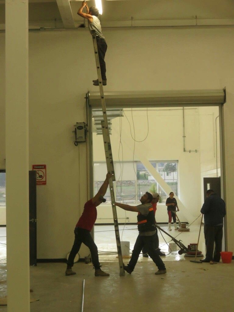 3 Men, One Ladder, No Common Sense