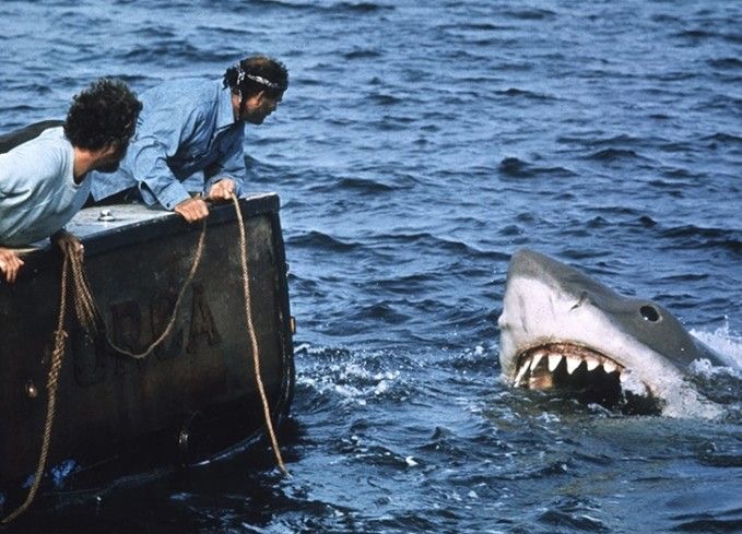 Don’t Go in the Water