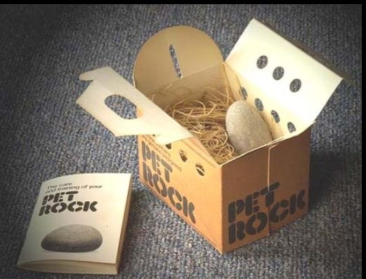 The Pet That Did Nothing (and That Was the Point)