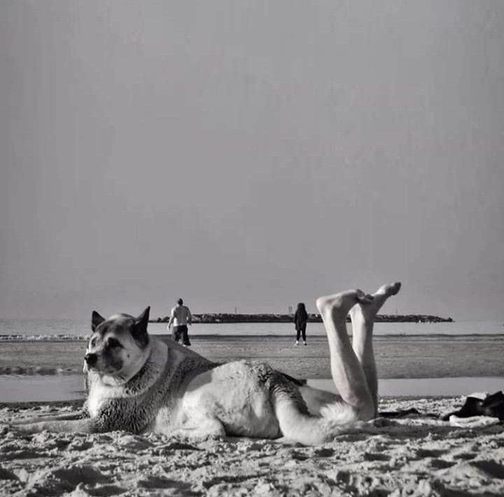 Beach Body Goals (With Bonus Legs)