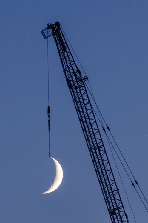 The Crane & The Crescent
