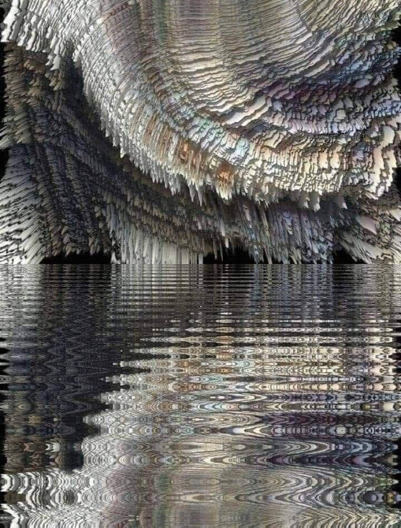 Reflections of the Wild Kind