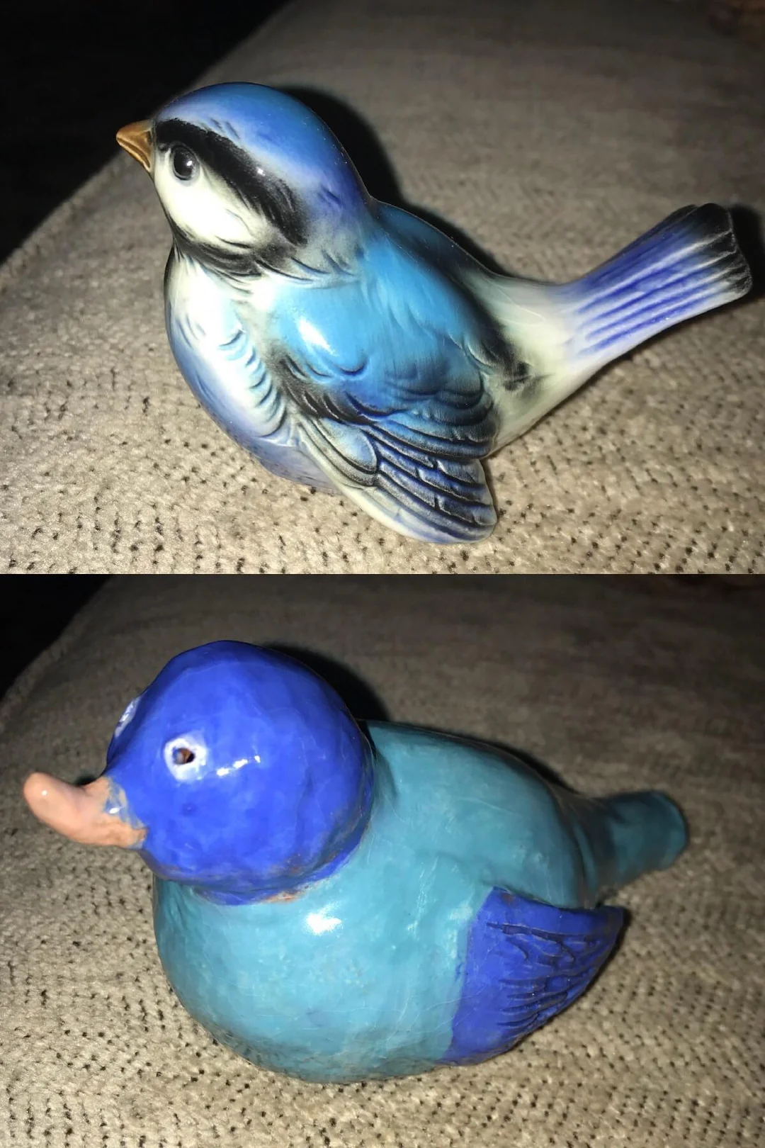 Bluebird or blue duck?