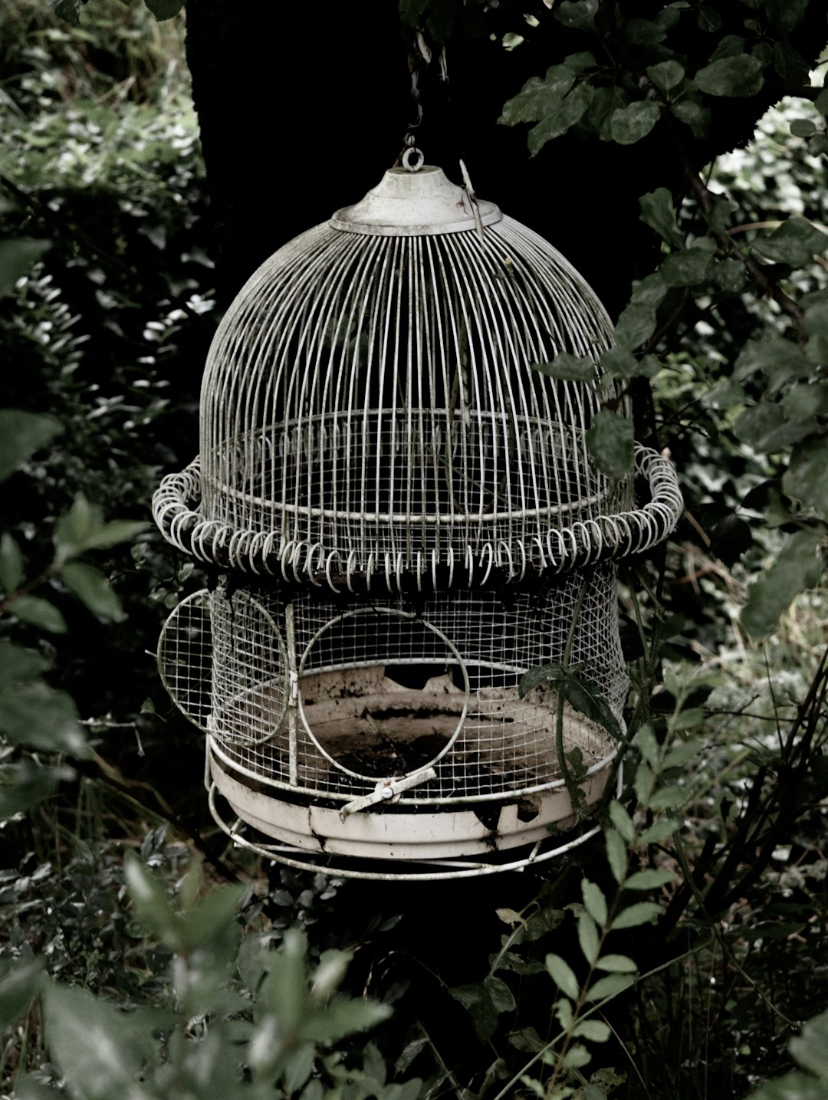 Take My Trash... AND Disassemble It.