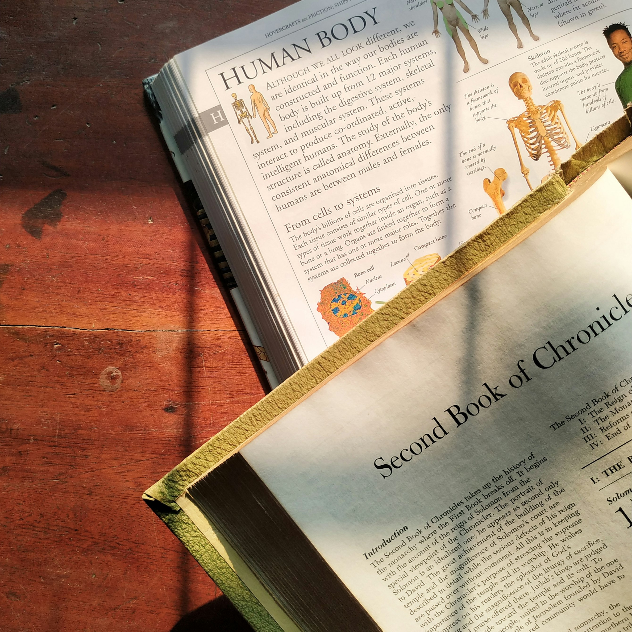 I said “a*ses and basids” while reading our 6th grade science textbook out loud to the class. Oops.