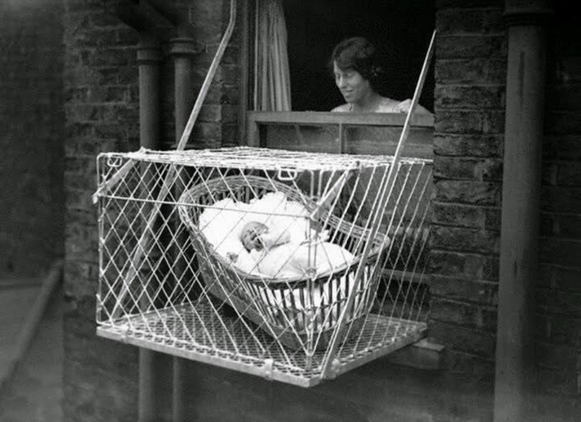 Baby in the Sky: The Cage Craze of the 1930s