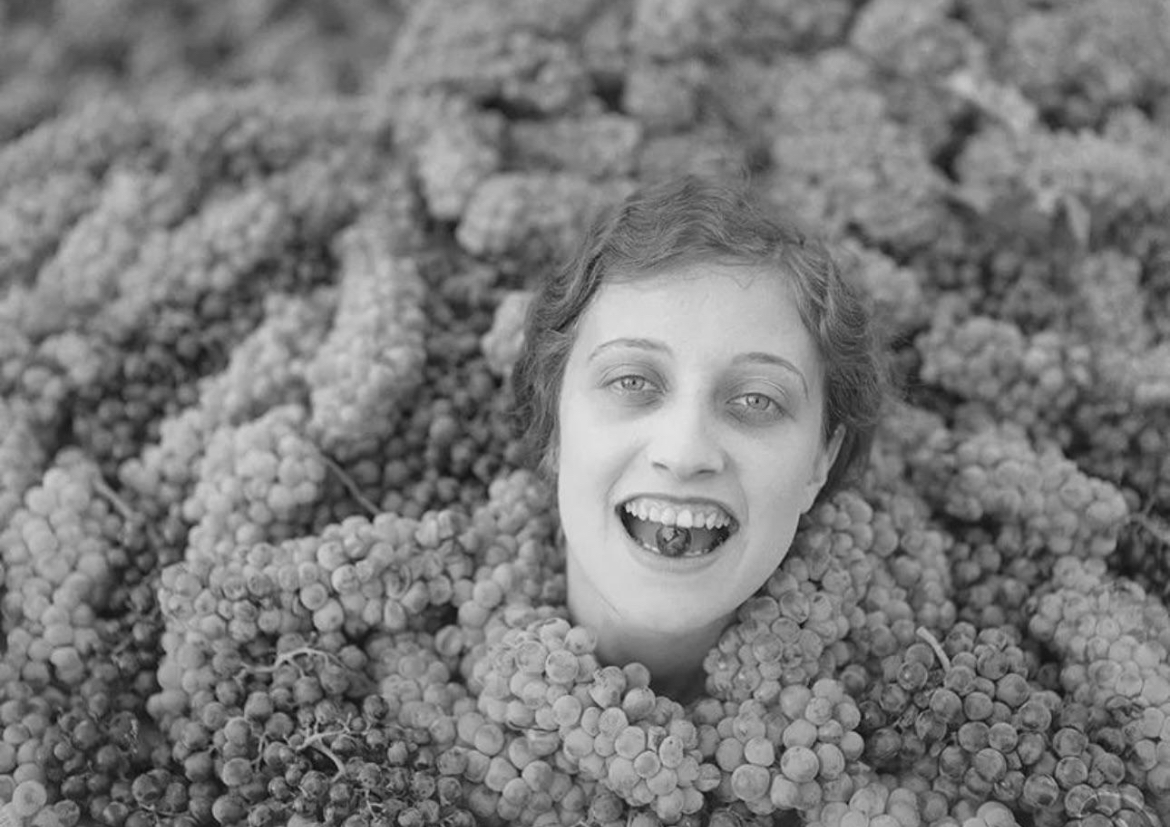 Grapes of Celebration: Burbank’s Bounty