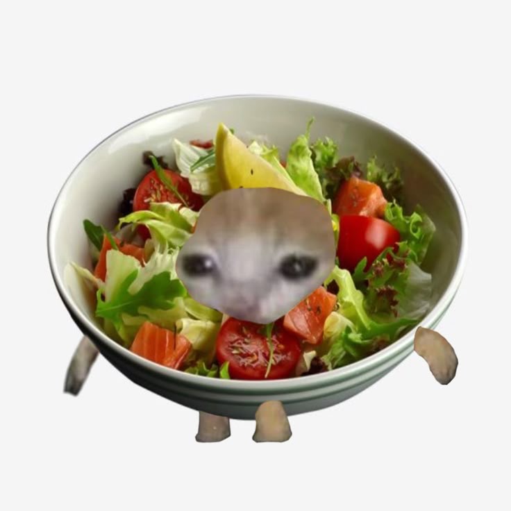 When It's Giving Zero Seasoning