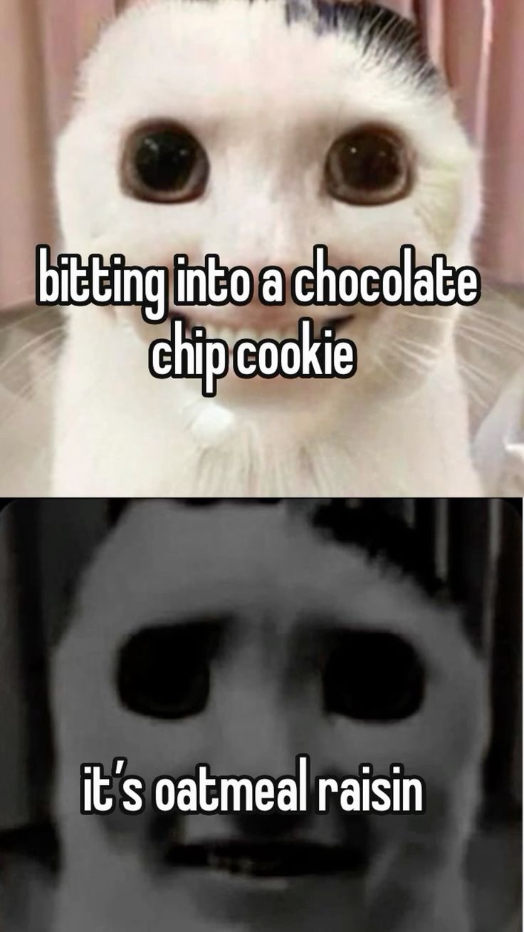 Oatmeal Raisin… Without the Raisin?