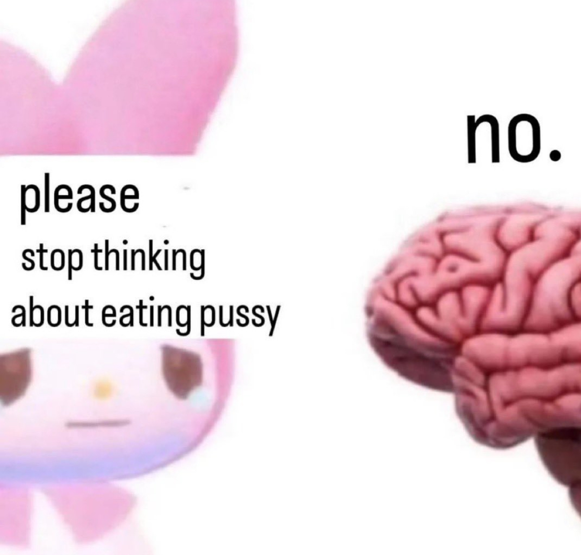 20 NSW Memes That Are Too Horny for Your Timeline